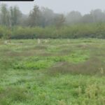 Maison à construire à Landiras (33720)