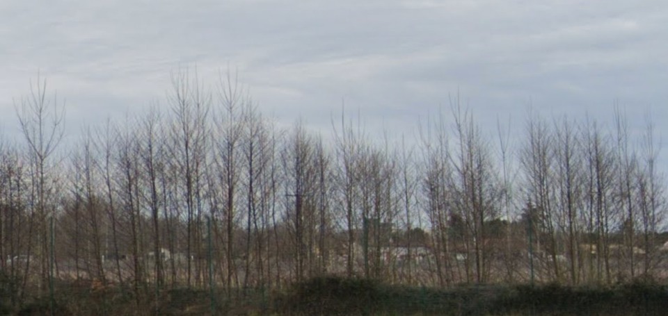 Terrain à bâtir à Saint-Germain-du-Puch (33750)