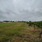 Maison à construire à Laroque (33410)