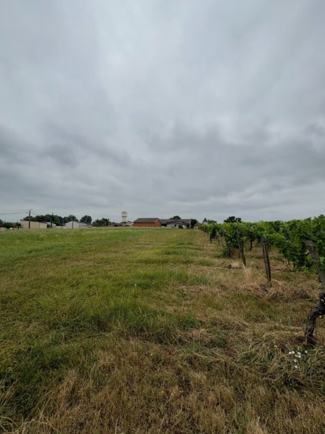 Terrain à bâtir à Laroque (33410)