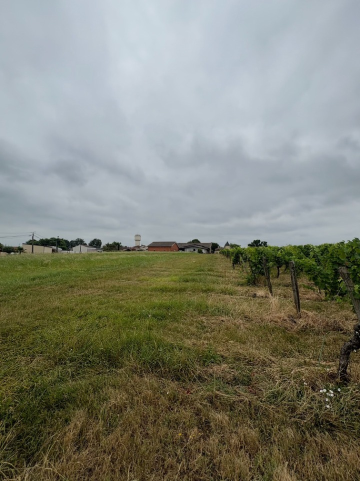 Terrain à bâtir à Monprimblanc (33410)