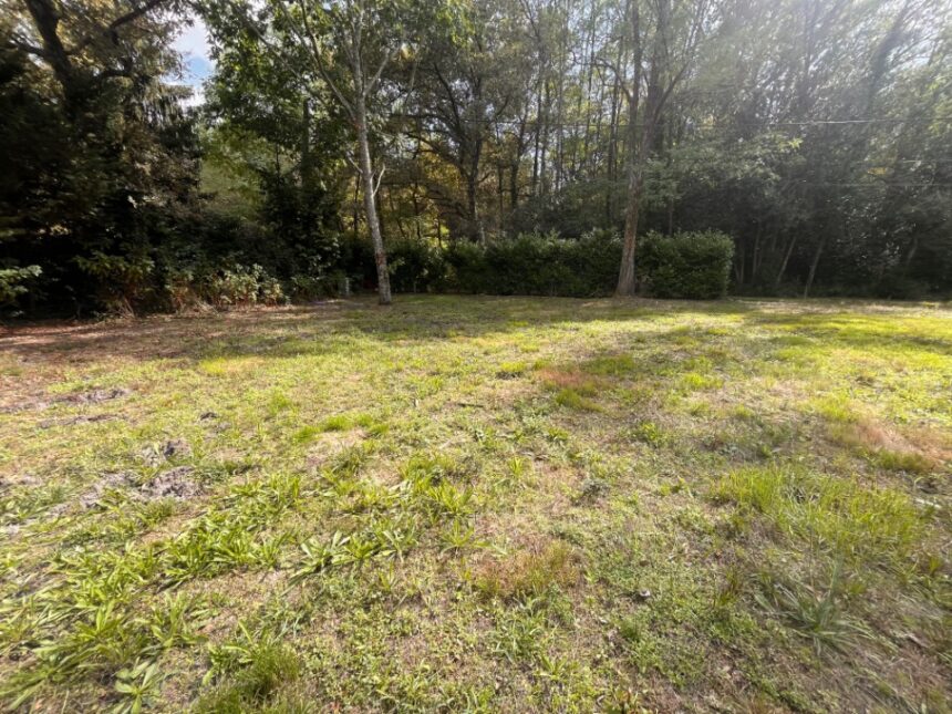 Terrain à bâtir à La Brède (33650)