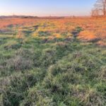 Maison à construire à Langon (33210)