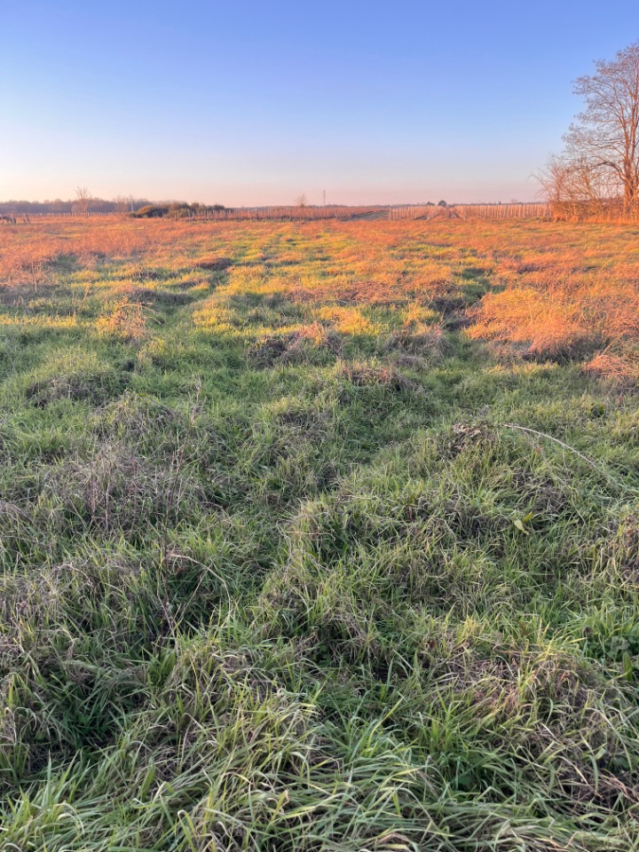 Terrain à bâtir à Langon (33210)