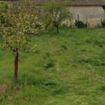 Maison à construire à Castres-Gironde (33640)