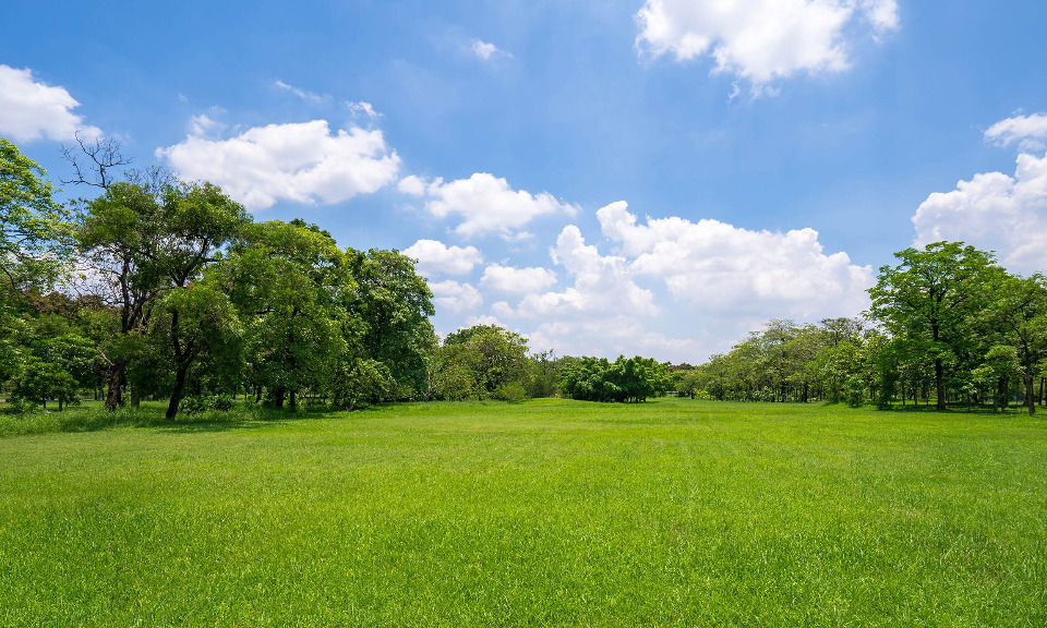 Terrain à bâtir à Lignan-de-Bordeaux (33360)