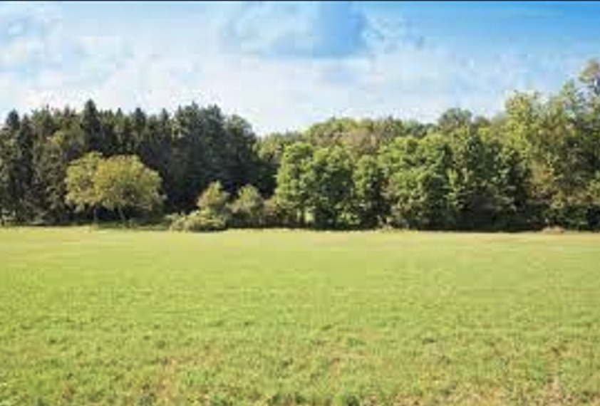 Terrain à bâtir à Le Barp (33114)