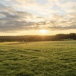 Maison à construire à Martillac (33650)