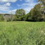 Maison à construire à Martillac (33650)