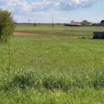 Maison à construire à Champagnolles (17240)