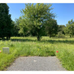 Terrain à bâtir à Saint-Vaize (17100)