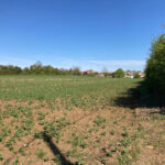 Terrain à bâtir à Champagnolles (17240)