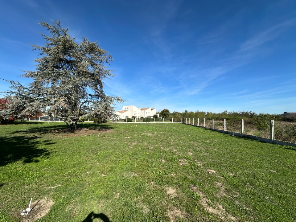 Terrain à bâtir à Saint-Magne (33125)