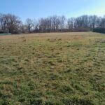 Maison à construire à Pessac (33600)