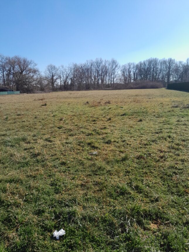Maison à construire à Pessac (33600)