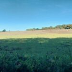 Maison à construire à Saint-Genès-de-Lombaud (33670)