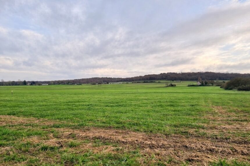 Maison à construire à Saint-Germain-et-Mons (24520)