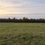 Terrain à bâtir à Saint-Laurent-des-Vignes (24100)