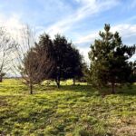 Terrain à bâtir à Gardonne (24680)