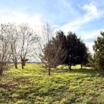 Maison à construire à Gardonne (24680)