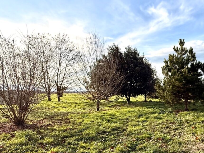 Maison à construire à Gardonne (24680)