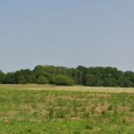 Maison à construire à Sigoulès-et-Flaugeac (24240)