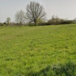 Maison à construire à Saint-Nexans (24520)