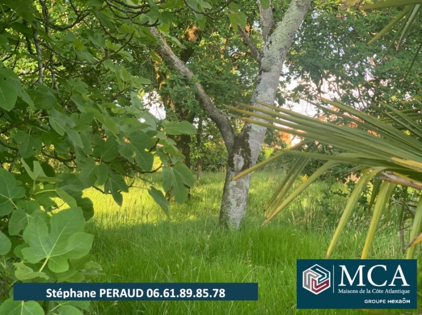 Terrain à bâtir à Port-de-Lanne (40300)