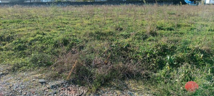 Maison à construire à Gauriaguet (33240)