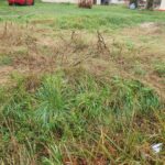 Terrain à bâtir à Laruscade (33620)