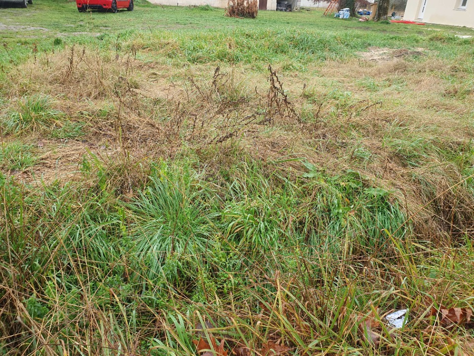 Terrain à bâtir à Laruscade (33620)