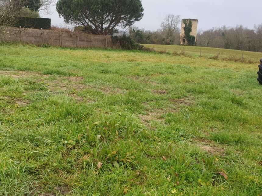 Maison à construire à Salignac (33240)