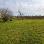 Maison à construire à Saint-André-de-Cubzac (33240)