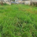 Maison à construire à Saint-Ciers-d’Abzac (33910)