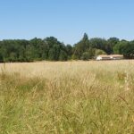Maison à construire à Saint-Christoly-de-Blaye (33920)