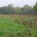 Terrain à bâtir à Tizac-de-Lapouyade (33620)