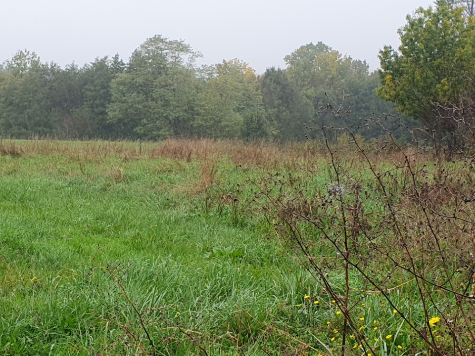 Terrain à bâtir à Tizac-de-Lapouyade (33620)