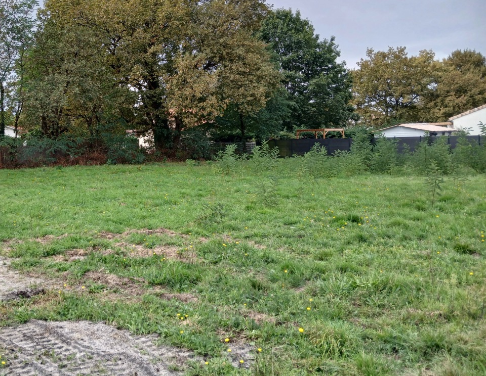 Terrain à bâtir à Hostens (33125)