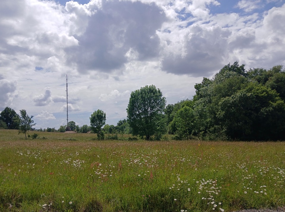 Terrain à bâtir à Bouliac (33270)