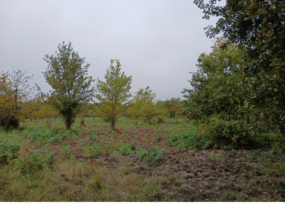Terrain à bâtir à Parentis-en-Born (40160)