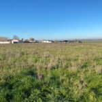 Terrain à bâtir à Grézac (17120)