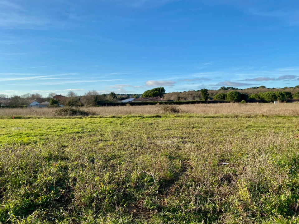 Terrain à bâtir à Saint-Palais-sur-Mer (17420)