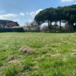 Maison à construire à Saint-Augustin (17570)