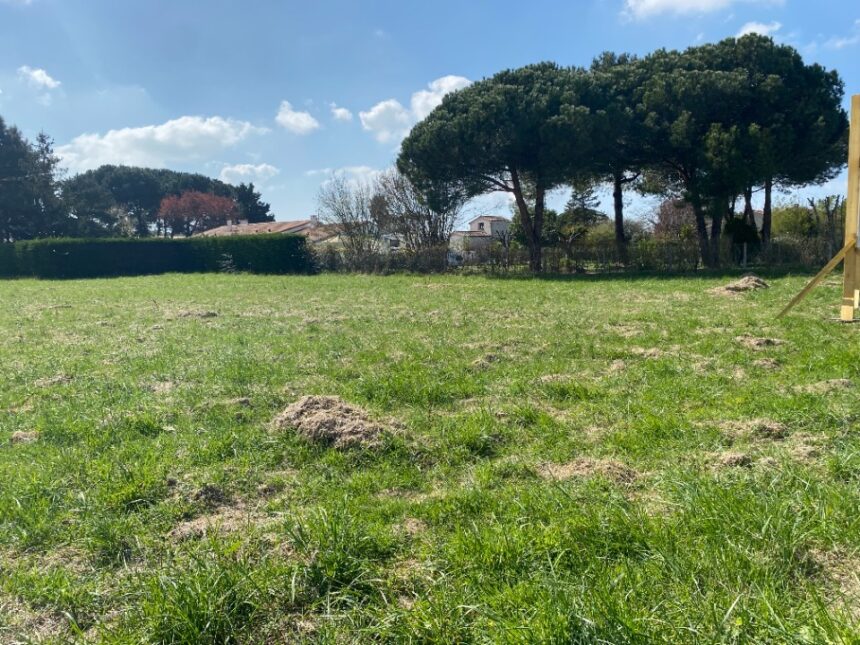 Maison à construire à Saint-Augustin (17570)