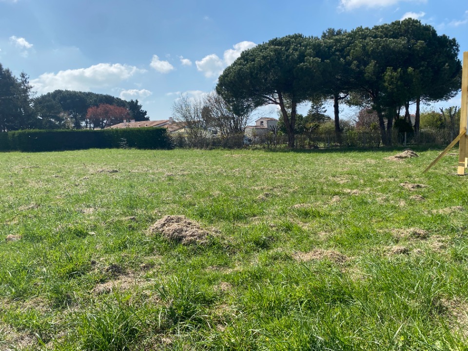 Terrain à bâtir à Saint-Augustin (17570)