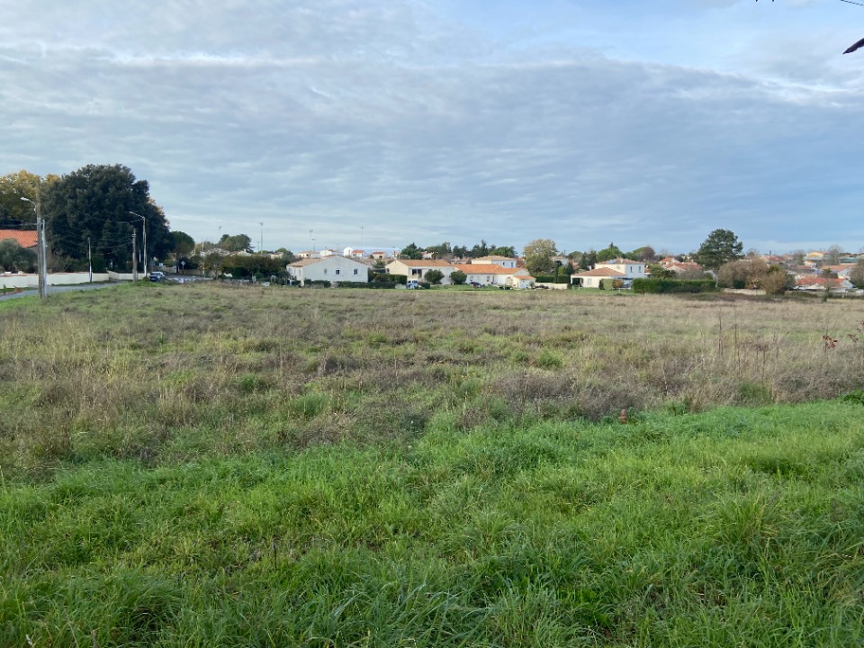 Terrain à bâtir à Meschers-sur-Gironde (17132)