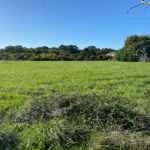 Maison à construire à Saint-Palais-sur-Mer (17420)