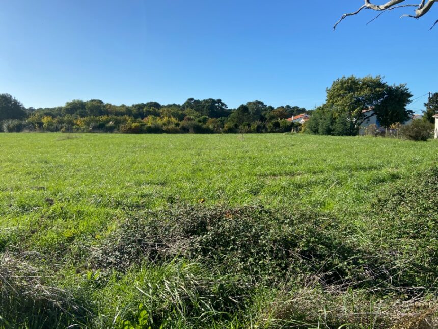 Maison à construire à Saint-Palais-sur-Mer (17420)