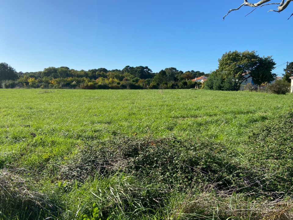 Terrain à bâtir à Saint-Palais-sur-Mer (17420)
