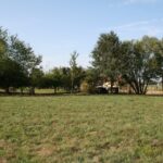 Terrain à bâtir à Le Porge (33680)